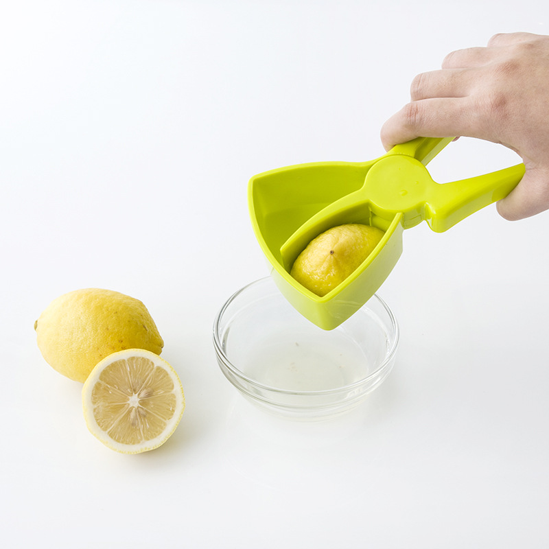 Manual Juicer NO.FVT056